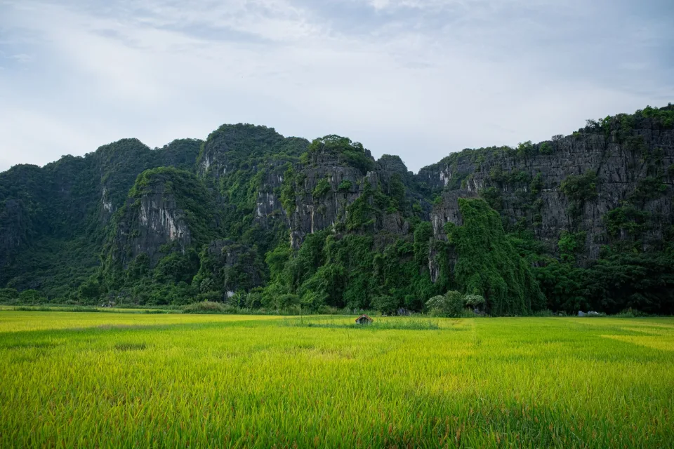 Kho gạo của Nguyễn Thị Bích Thảo